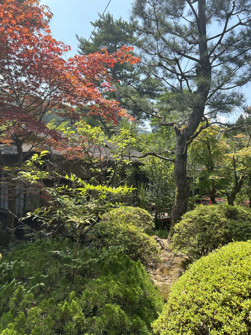 KYOTO SAUNA VIBES®️さんの上方温泉一休京都本館のサ活写真