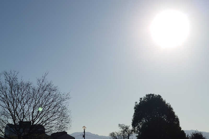 サウナ用渡り鳥さんの都城温泉のサ活写真