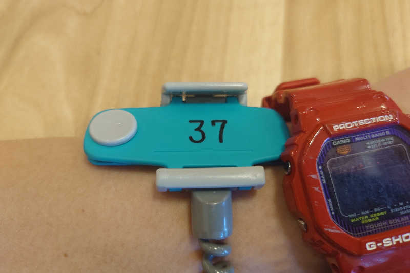 サウナ用渡り鳥さんの青井岳温泉のサ活写真