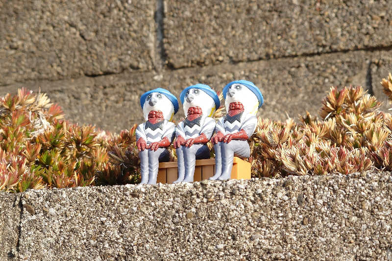 サウナ用渡り鳥さんの和楽笑の湯のサ活写真