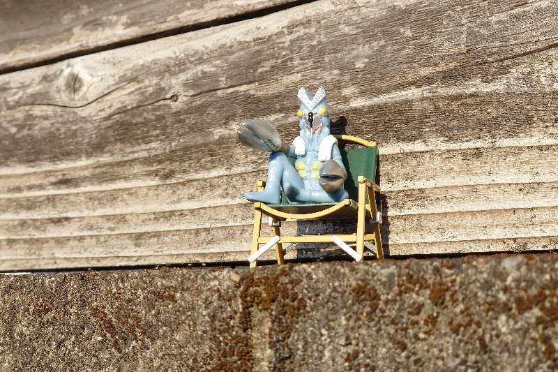 サウナ用渡り鳥さんの幸福温泉HappyYouのサ活写真