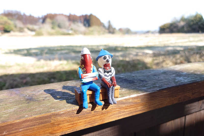 サウナ用渡り鳥さんの極楽温泉 匠の宿のサ活写真