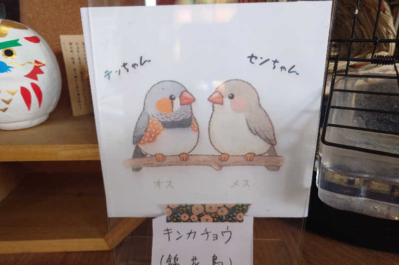 サウナ用渡り鳥さんの幸福温泉HappyYouのサ活写真