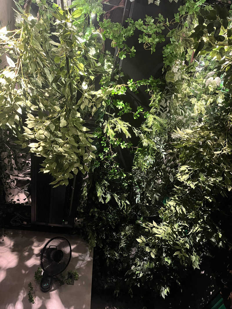 にゃんこさんの真大阪サウナのサ活写真