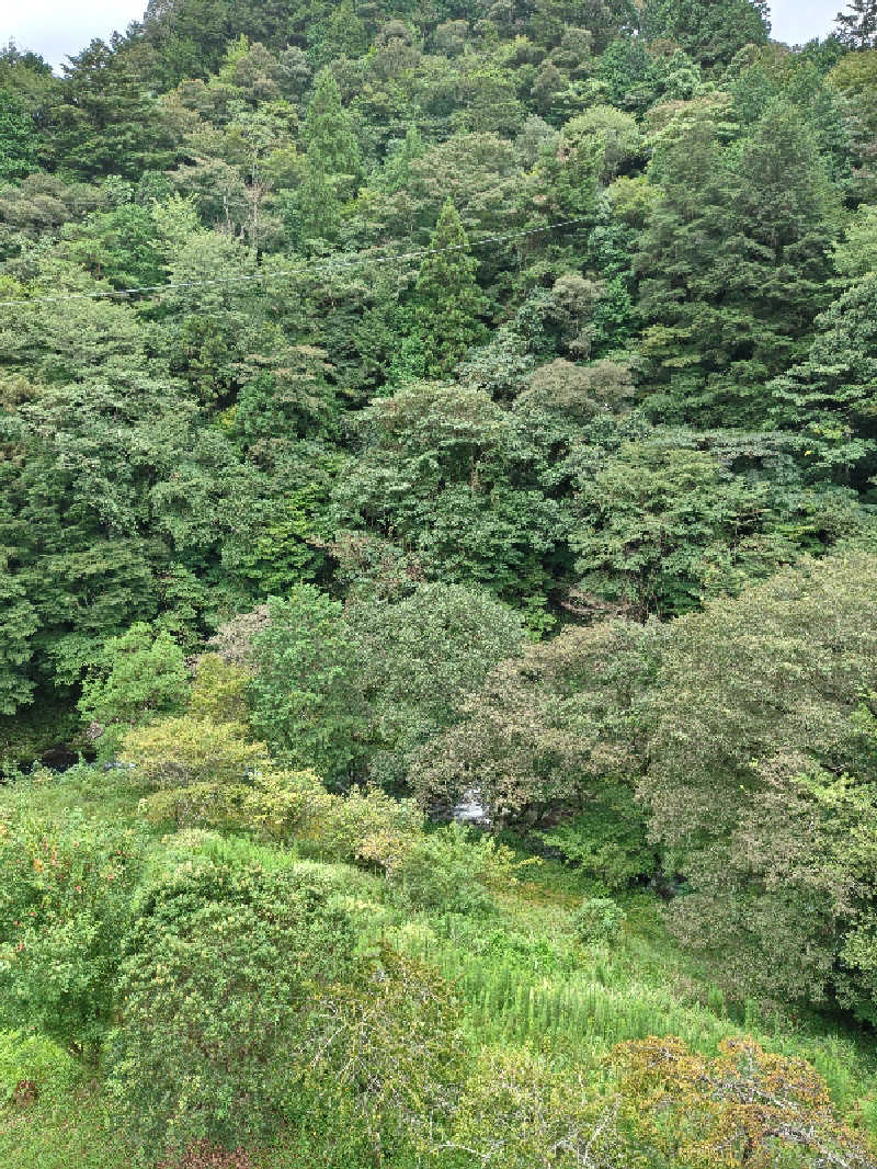Haruhisa-moさんのホテル松葉川温泉のサ活写真