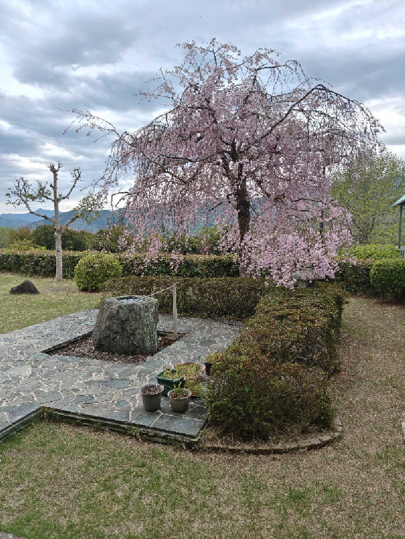 Haruhisa-moさんの紅葉温泉のサ活写真