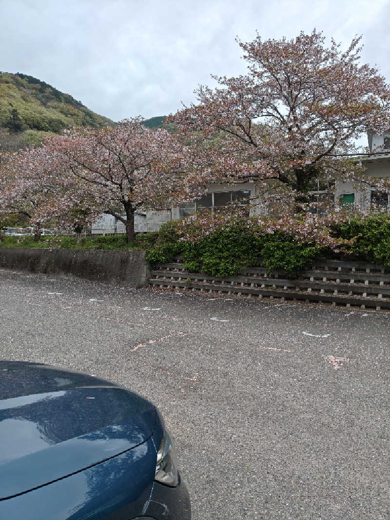 Haruhisa-moさんの紅葉温泉のサ活写真