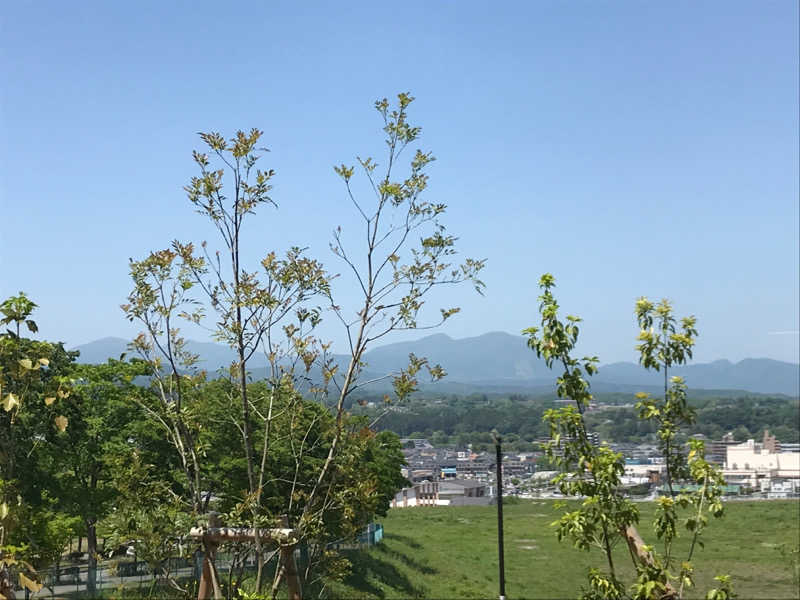 蒸し家族さんの愛子天空の湯 そよぎの杜のサ活写真