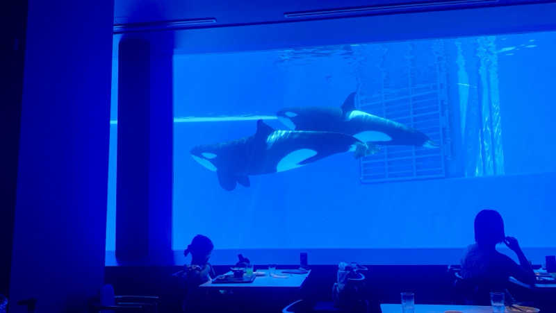 にわかサウナ〜PINE＆PAINちゃん🥳さんのサウナリゾートオリエンタル神戸(センチュリオンホテル&スパ ヴィンテージ神戸)のサ活写真