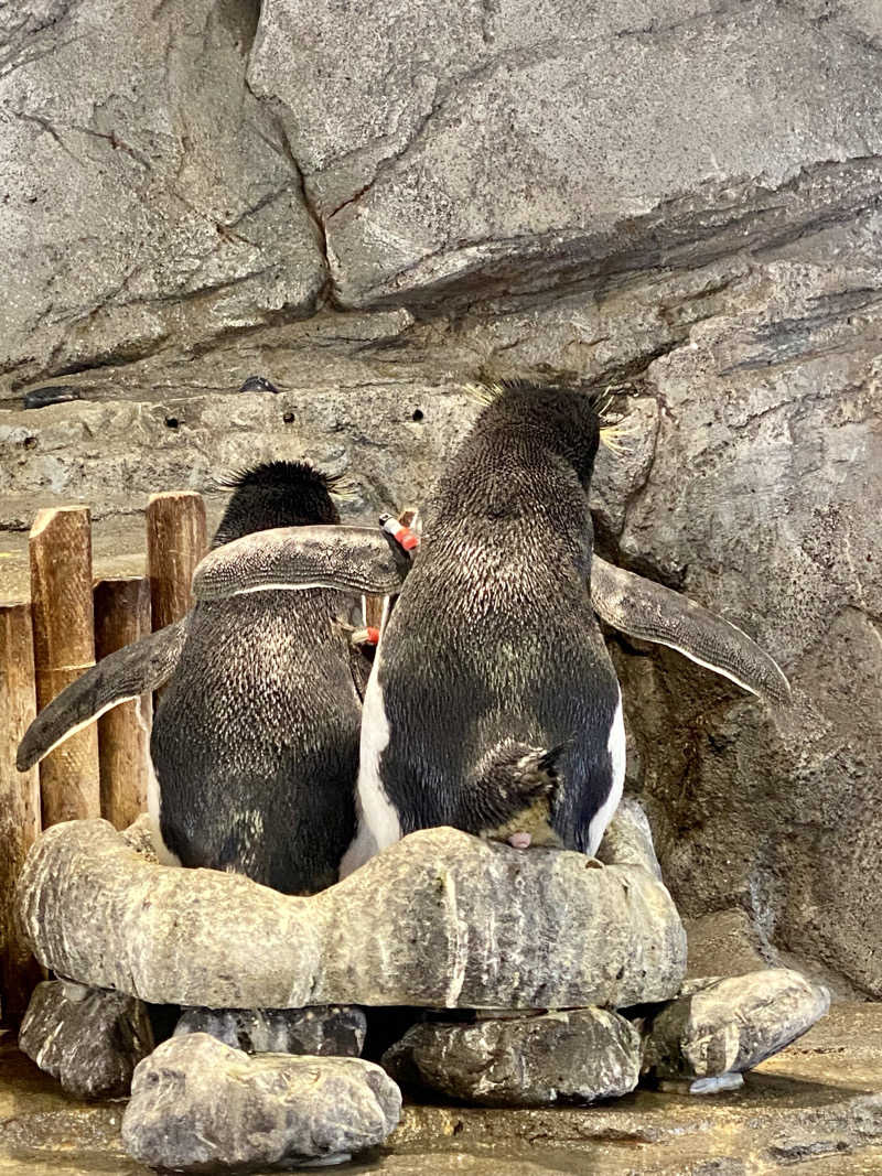 にわかサウナ〜PINE＆PAINちゃん🥳さんのサウナリゾートオリエンタル神戸(センチュリオンホテル&スパ ヴィンテージ神戸)のサ活写真