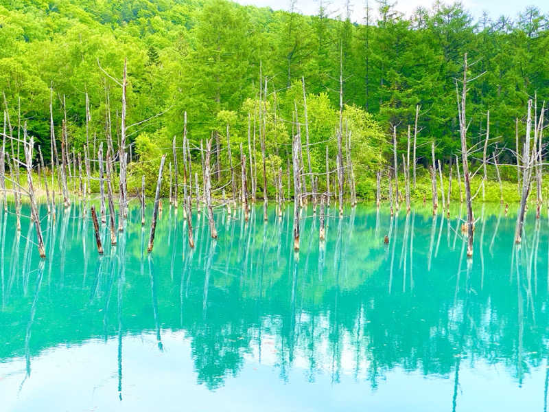 にわかサウナ〜PINE＆PAINちゃん🥳さんの吹上温泉保養センター 白銀荘のサ活写真
