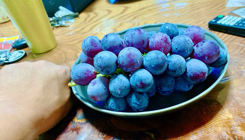 にわかサウナ〜PINE🥳(まっちゃん)さんのいやだに温泉大師の湯のサ活写真