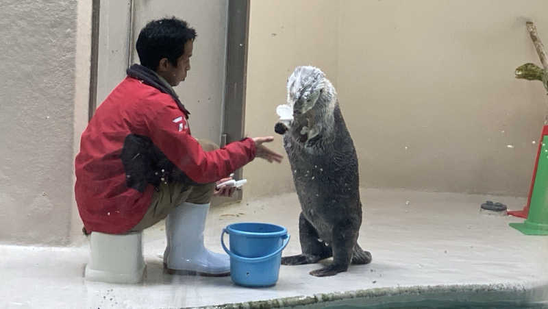 にわかサウナ〜PINE＆PAINちゃん🥳さんの玉の湯のサ活写真