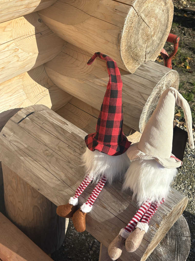 ShinさんのMökkä Saunaのサ活写真