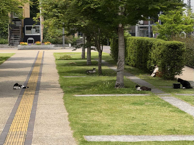 igaoさんの甲斐路の湯 ドーミーイン甲府のサ活写真