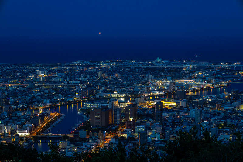 Noriaki Saitohさんの天空のスカイビューホテル 眉山海月のサ活写真