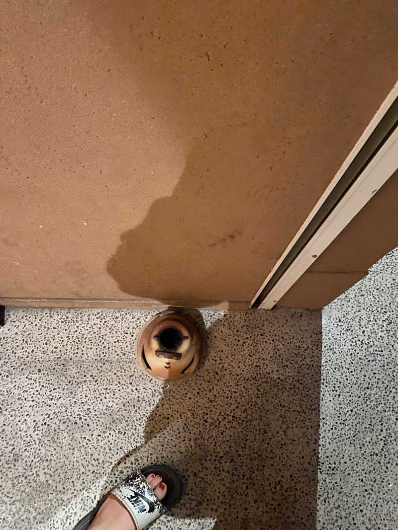 ビールのみたいさんのえごた湯のサ活写真