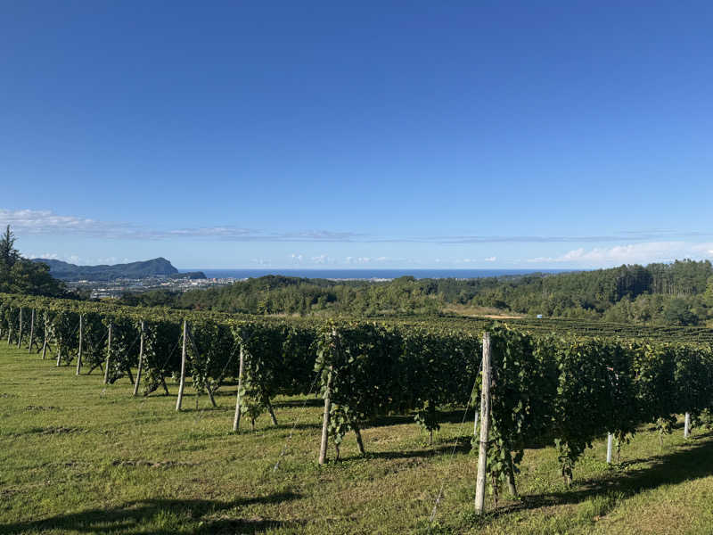 ウイリアムⅢさんの朝日湯のサ活写真