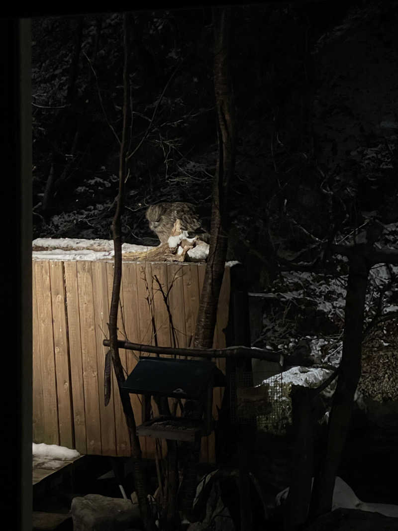 佐藤せなさんの湯宿だいいちのサ活写真