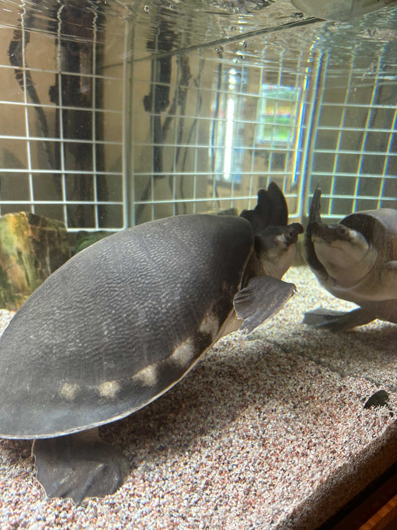 すーさんの松本湯のサ活写真