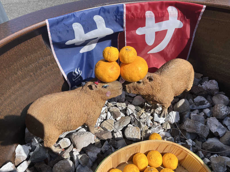 けんちゃんさんの富士山天然水SPA サウナ鷹の湯のサ活写真