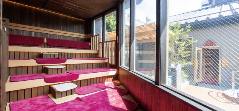 お米社長さんの温泉バルコニー キング&クイーンのサ活写真