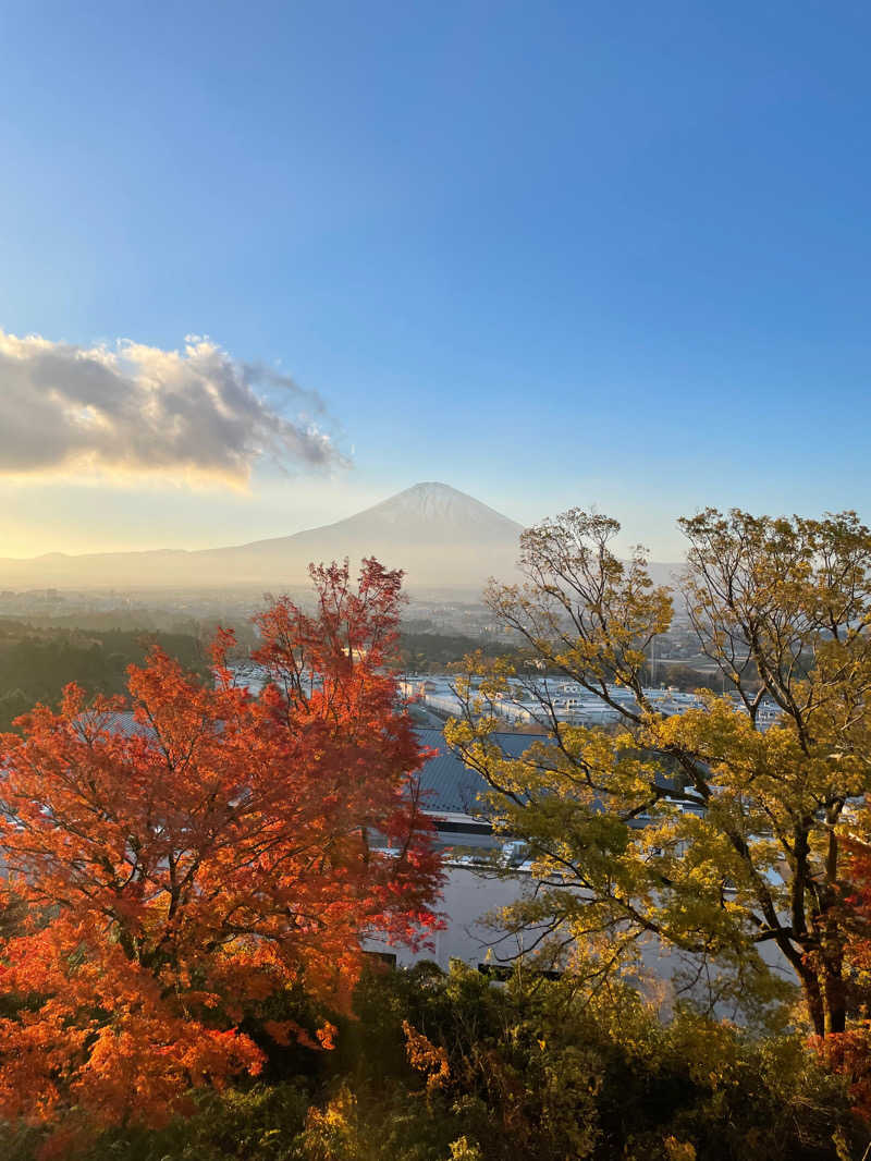 たこ焼きさんの木の花の湯(HOTEL CLAD)のサ活写真