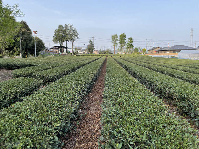 たこ焼きさんのSAUNA NAYAのサ活写真