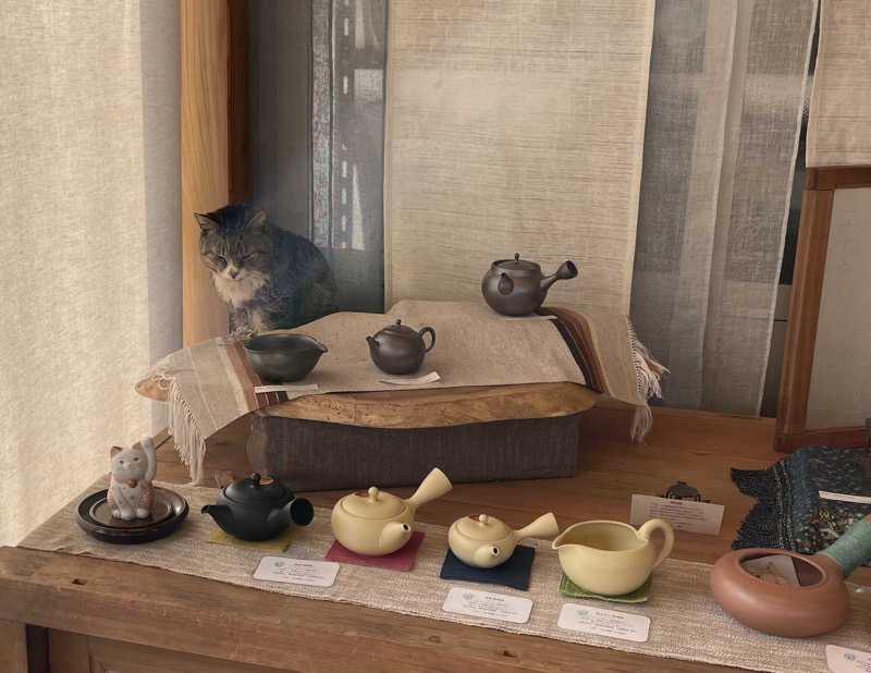 たこ焼きさんのSAUNA NAYAのサ活写真