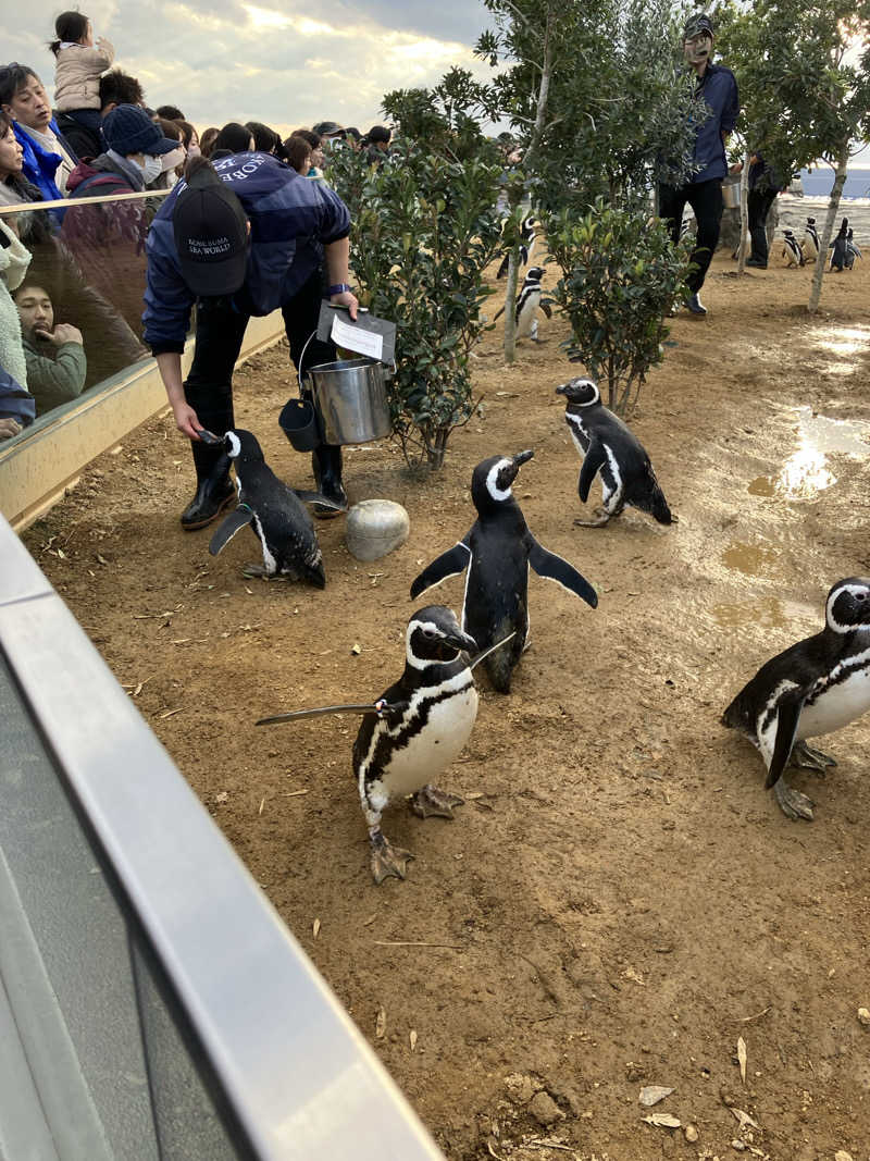 サウナハゲさんの萬歳湯のサ活写真