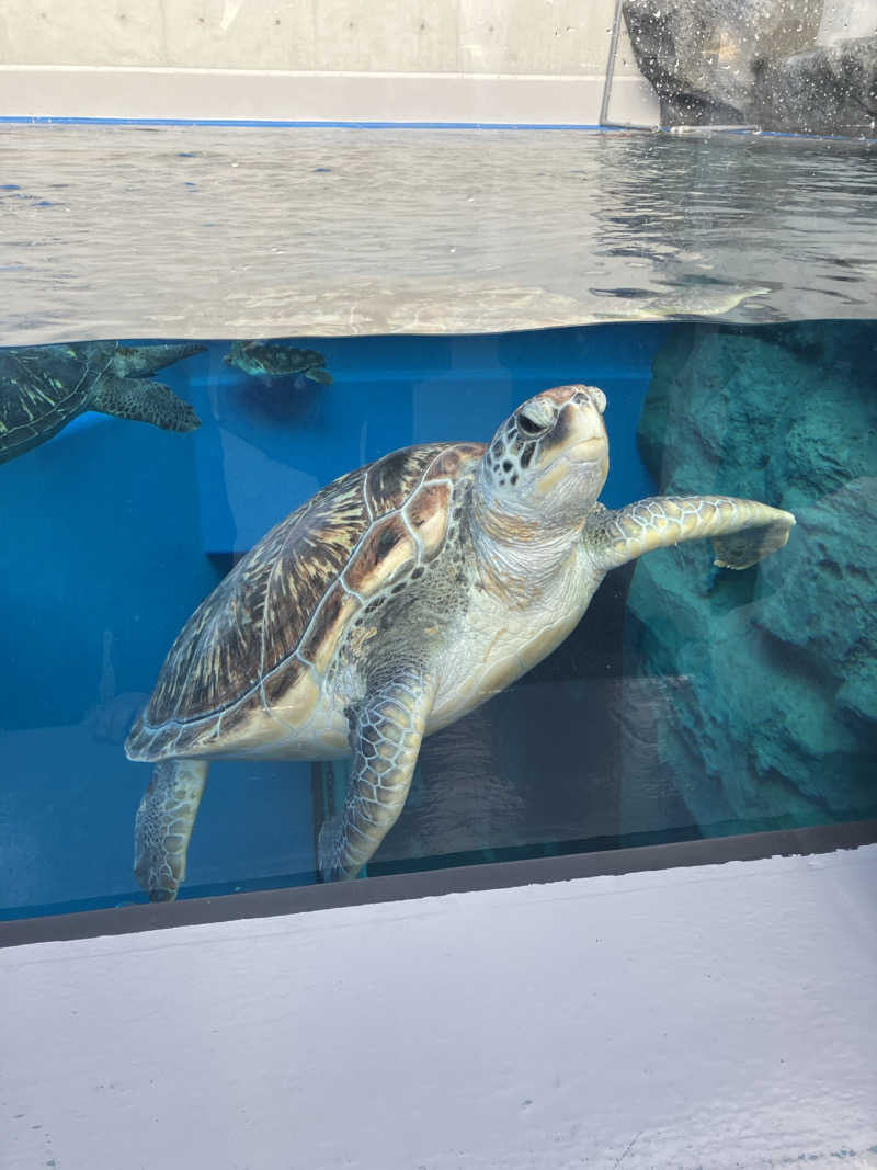 サウナハゲさんの萬歳湯のサ活写真