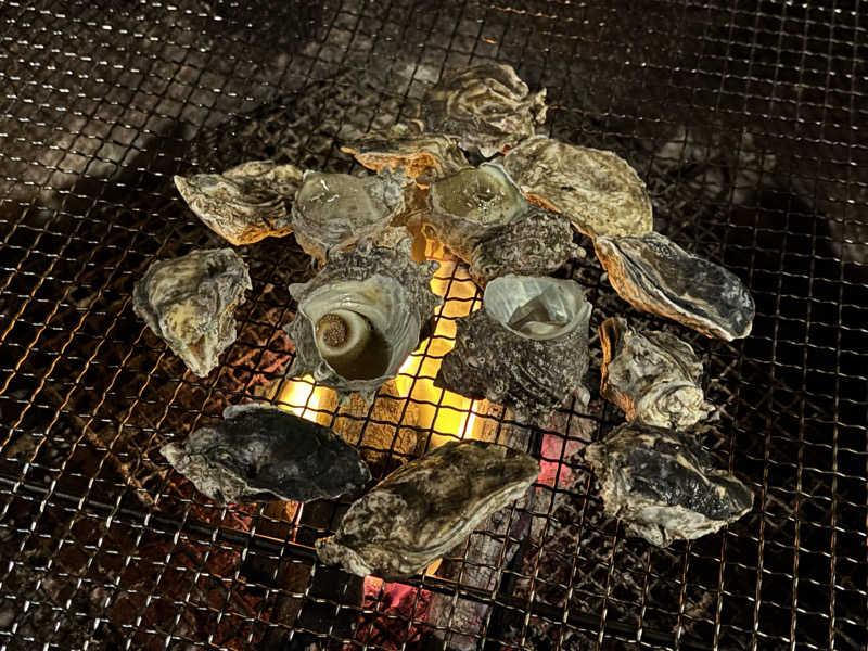 KVさんの光アイランドのサ活写真