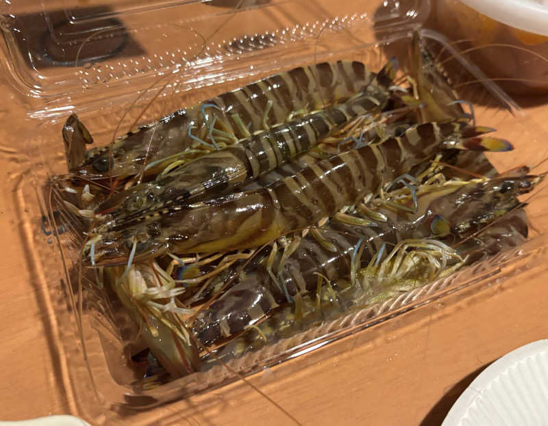 KVさんの光アイランドのサ活写真