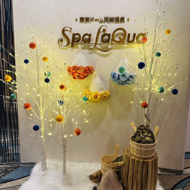 Sakiさんの東京ドーム天然温泉 Spa LaQua(スパ ラクーア)のサ活写真