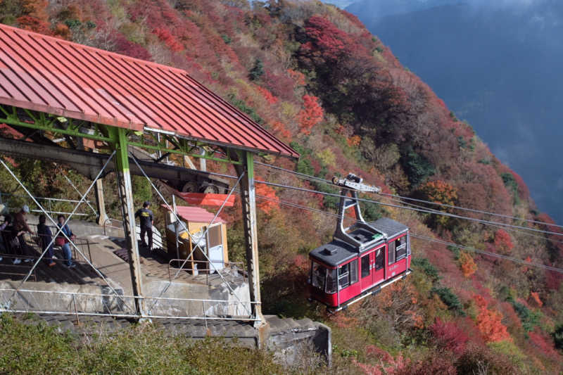 ゆさんの島原温泉 ホテル南風楼のサ活写真