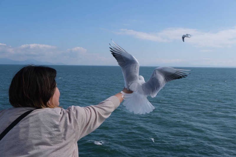 ゆさんの島原温泉 ホテル南風楼のサ活写真