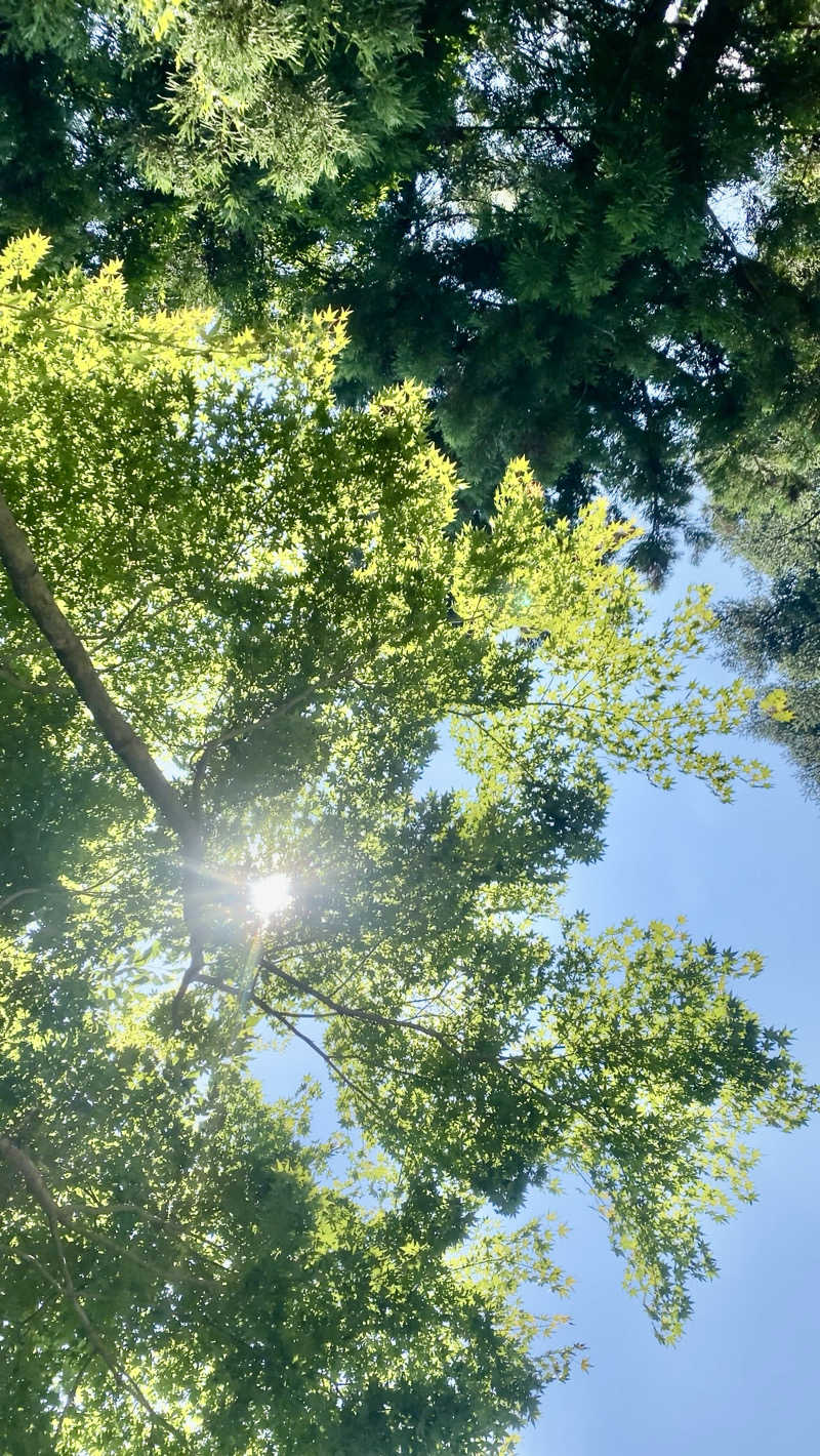 たぬきちさんのたぬき荘道志 貸別荘のサ活写真