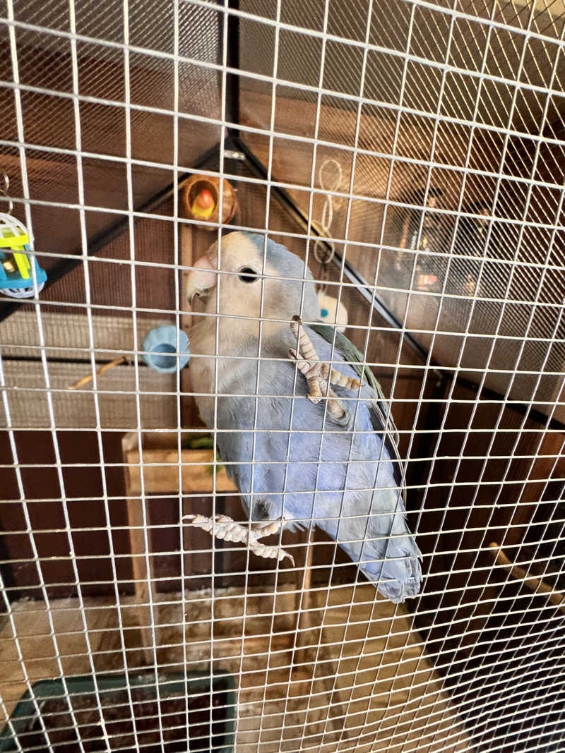 サウナに出会えてよかった♪さんの鳴子温泉 旅館すがわらのサ活写真
