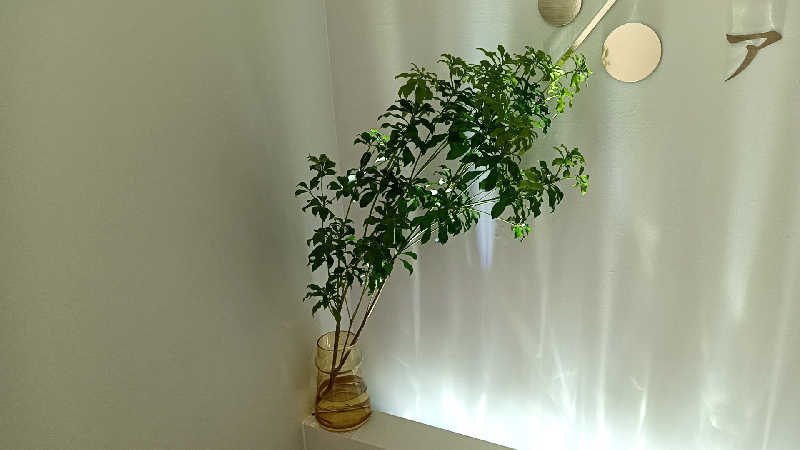 藤山さんのプライベートサウナ アメノチハレのサ活写真