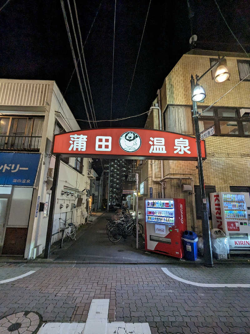 こたこたこたさんの蒲田温泉のサ活写真