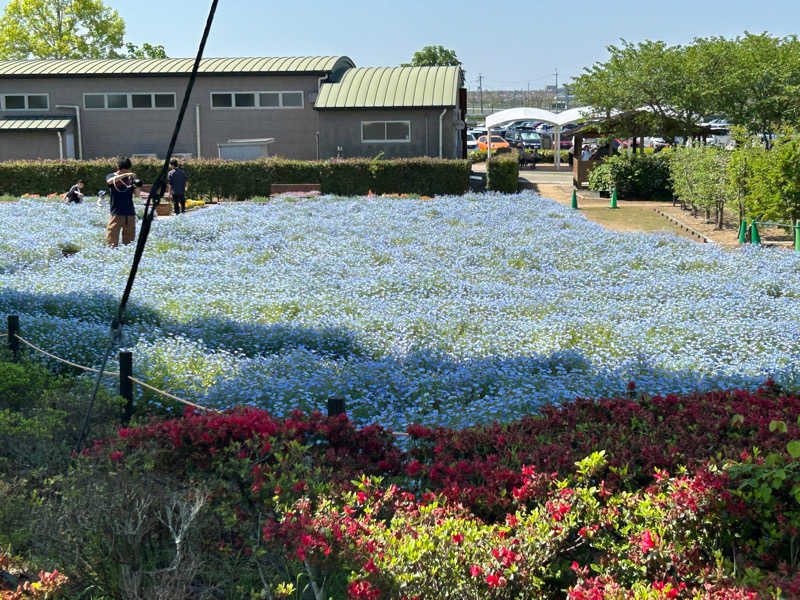 afiruさんの白雲谷温泉ゆぴかのサ活写真