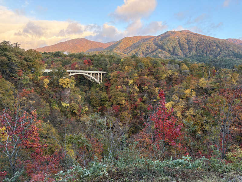 ゆきち♨️さんの天然温泉 仙台コロナの湯のサ活写真