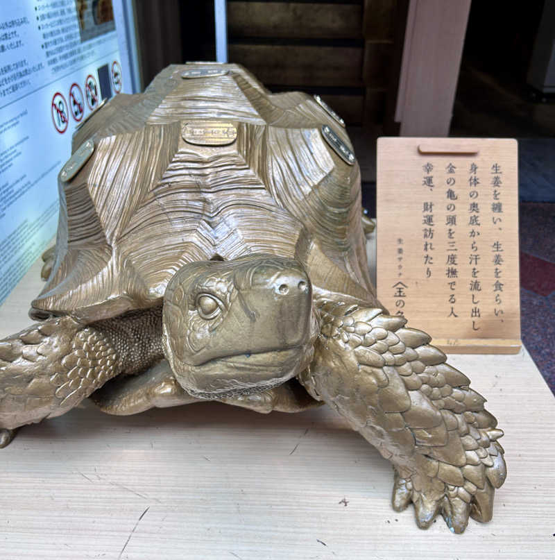 テオオテさんの生姜サウナ 金の亀のサ活写真