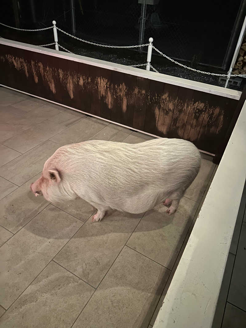 海くんさんのまるた屋温泉 西方の湯のサ活写真