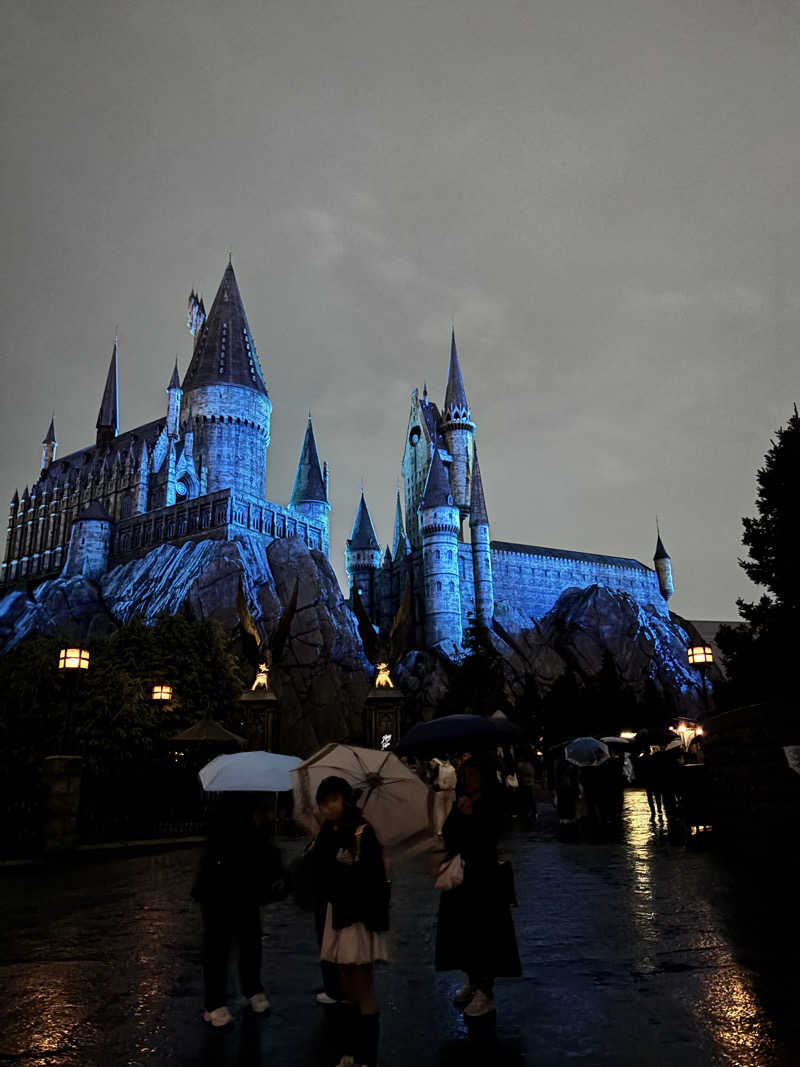 ぷぷこさんのホテル京阪 ユニバーサル・タワーのサ活写真