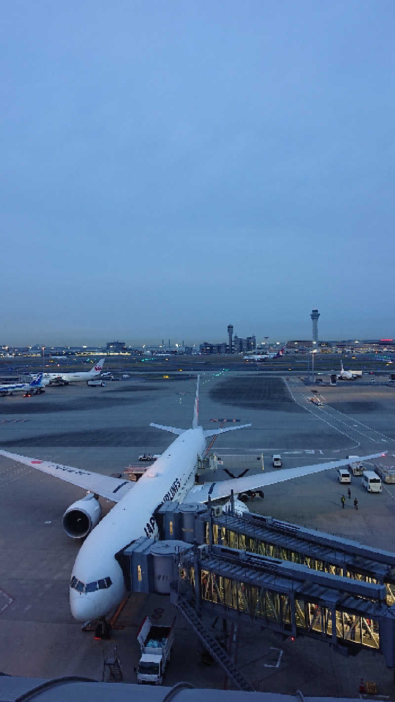 おおたけいこさんの天然温泉 泉天空の湯 羽田空港のサ活写真