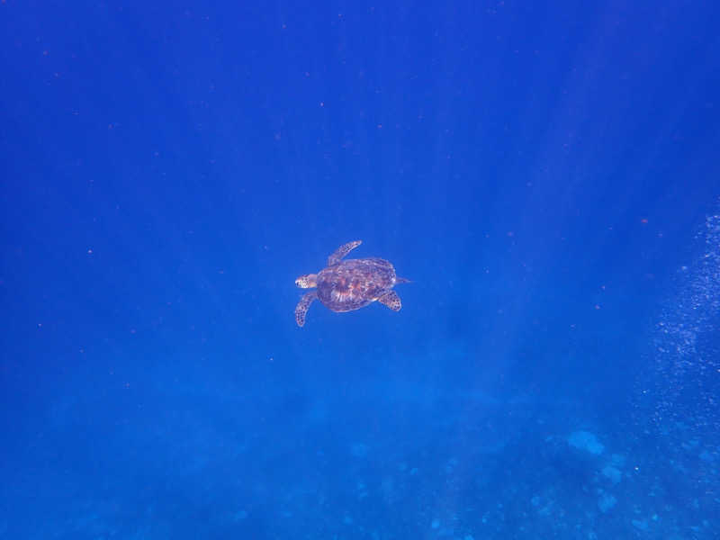 濱のサウナーさんのグランヴィリオリゾート石垣島 本館オーシャンズウイング 華のゆのサ活写真