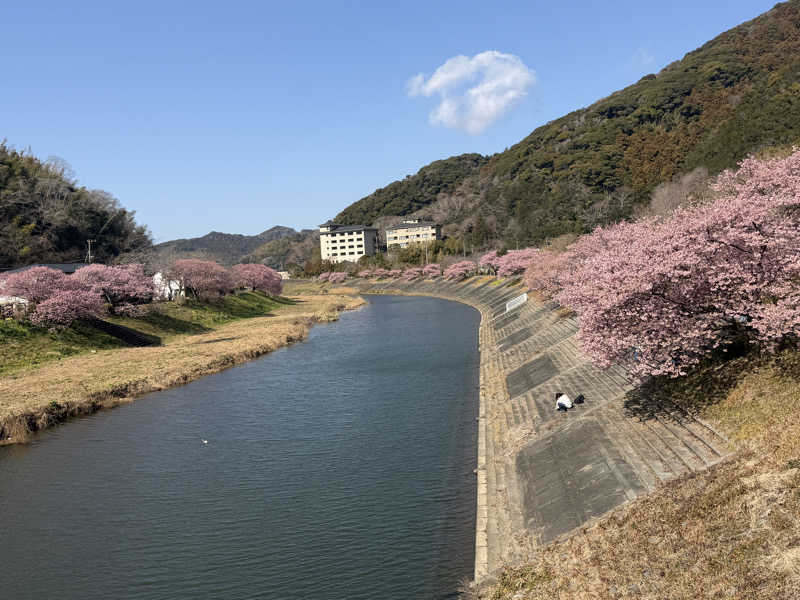 サ頭巾さんの下賀茂温泉 銀の湯会館のサ活写真