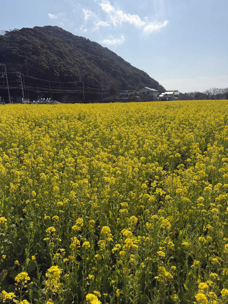 サ頭巾さんの下賀茂温泉 銀の湯会館のサ活写真