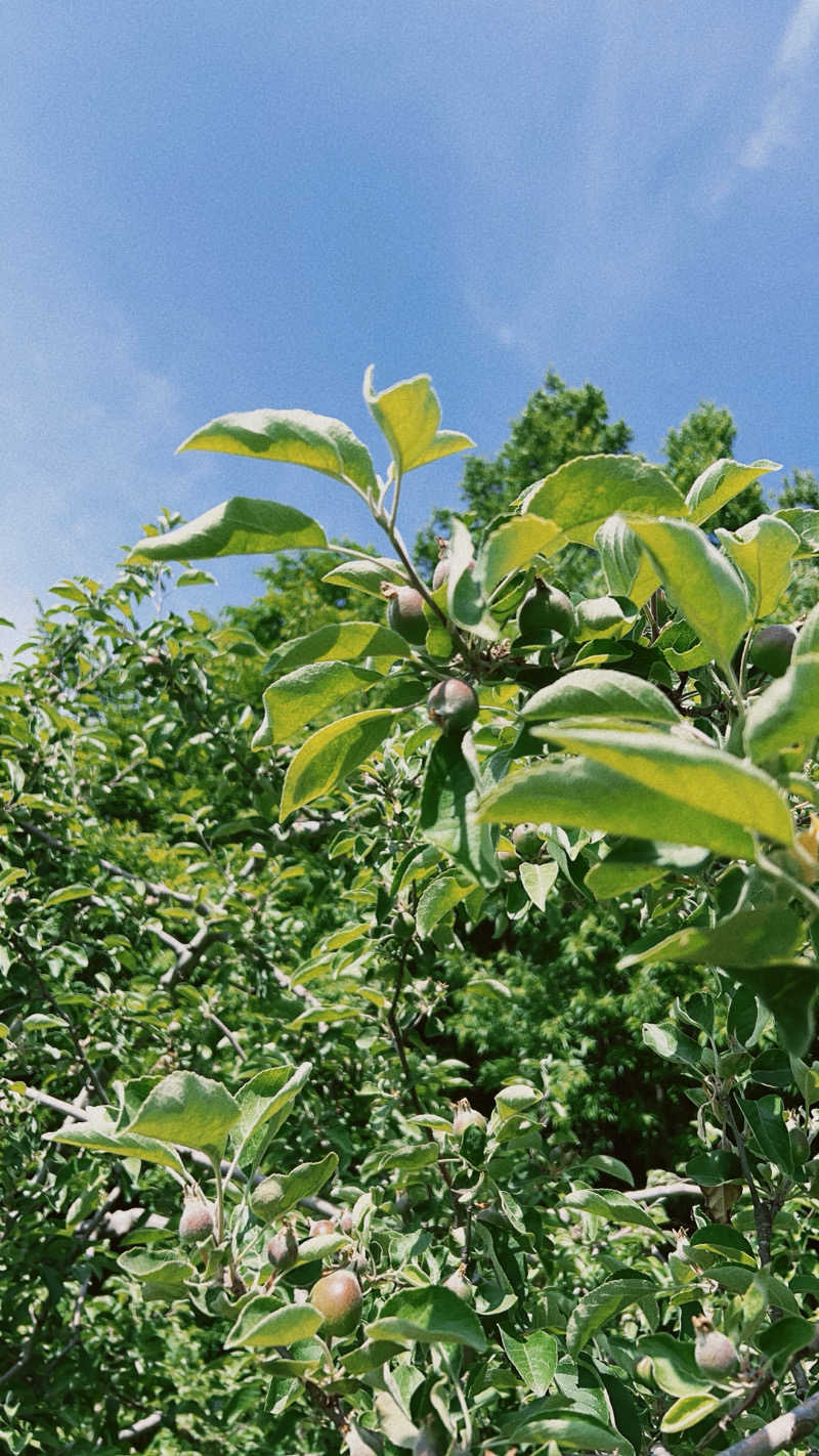 ノリダーさんの赤井川カルデラ温泉・保養センターのサ活写真